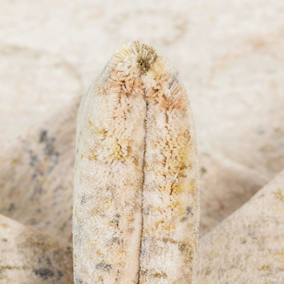 תמונת מוצר 2