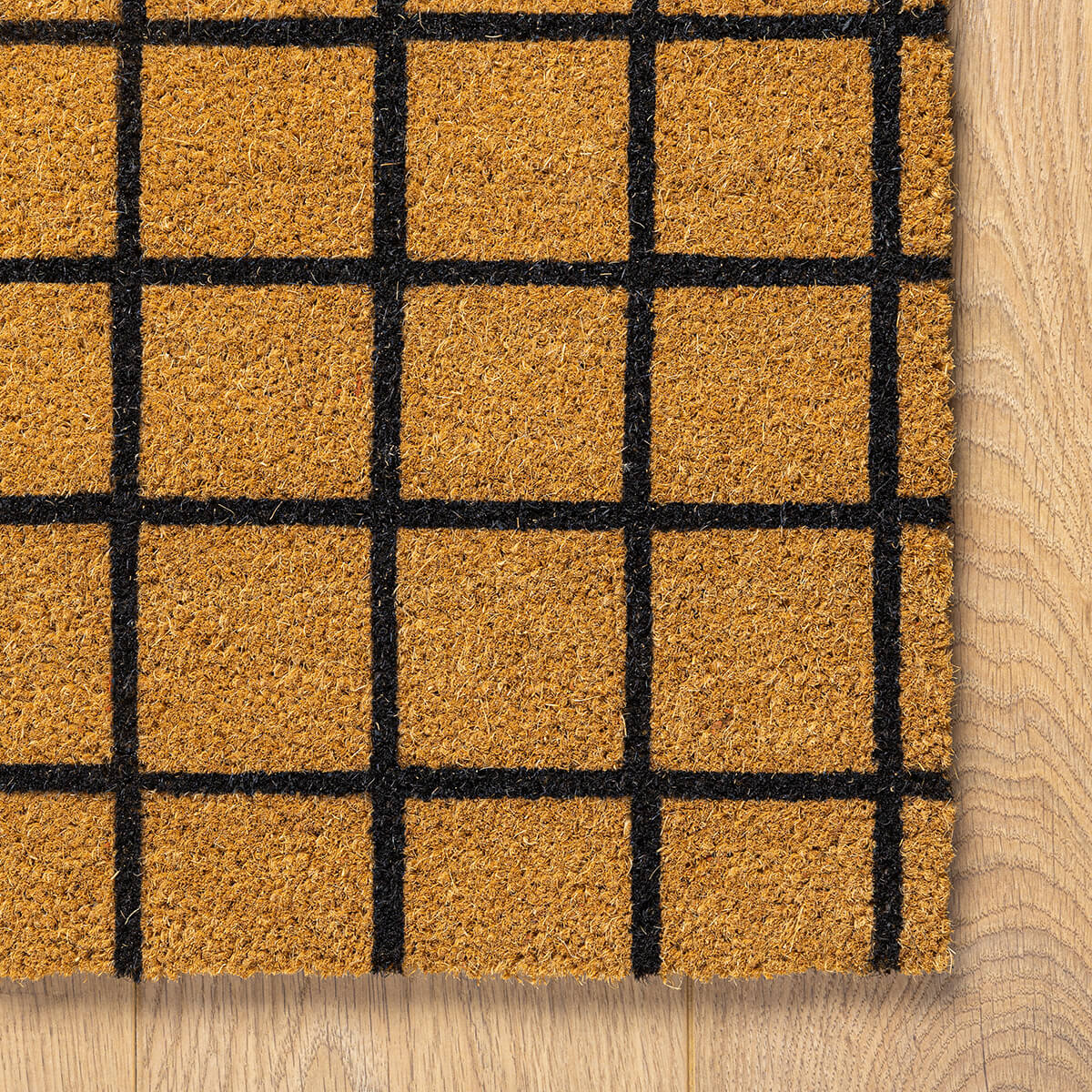 תמונת מוצר 3