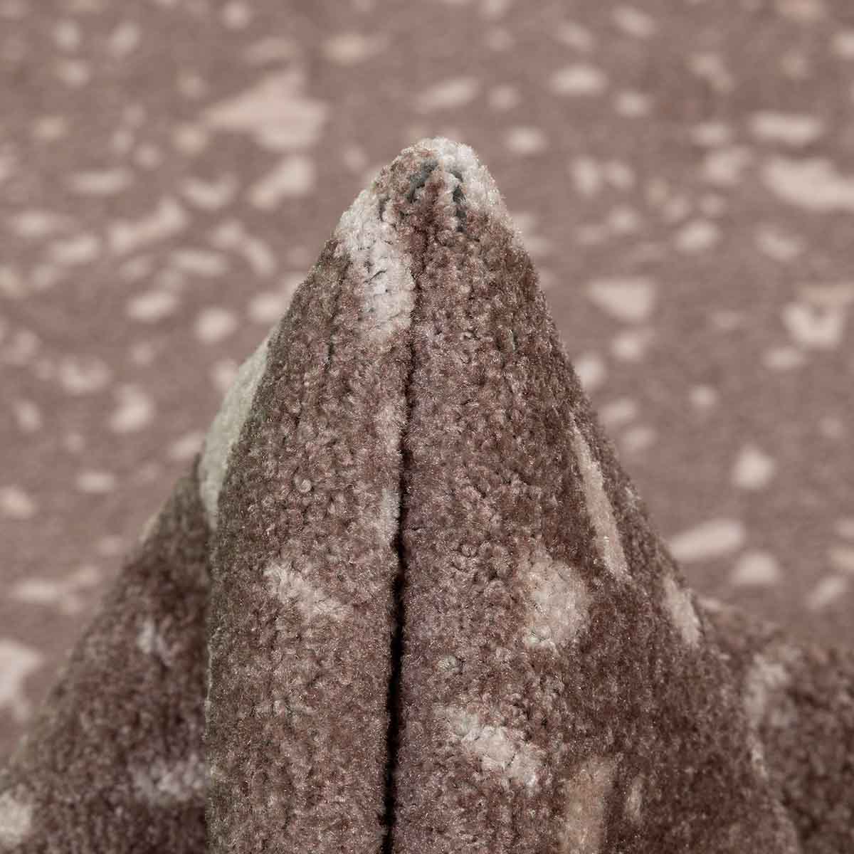 תמונת מוצר 2